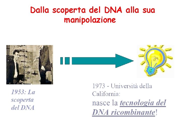 Dalla scoperta del DNA alla sua manipolazione 