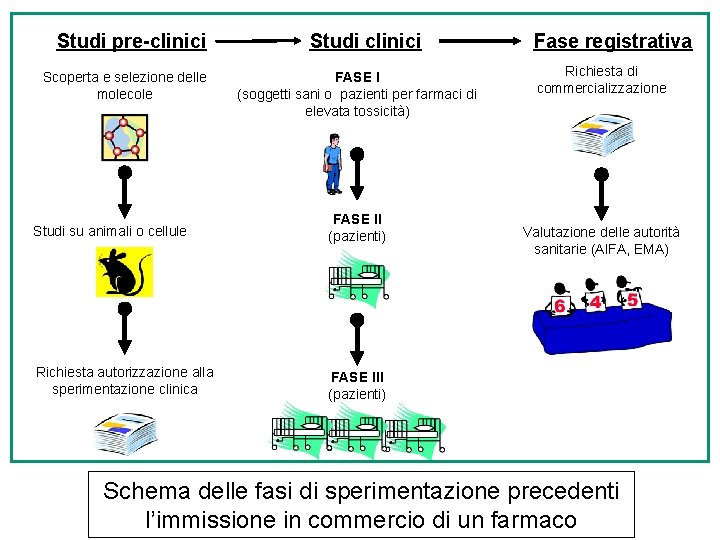 Studi pre-clinici Scoperta e selezione delle molecole Studi clinici FASE I (soggetti sani o