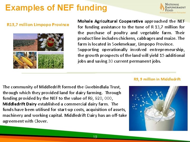 Examples of NEF funding R 13, 7 million Limpopo Province Mohale Agricultural Cooperative approached