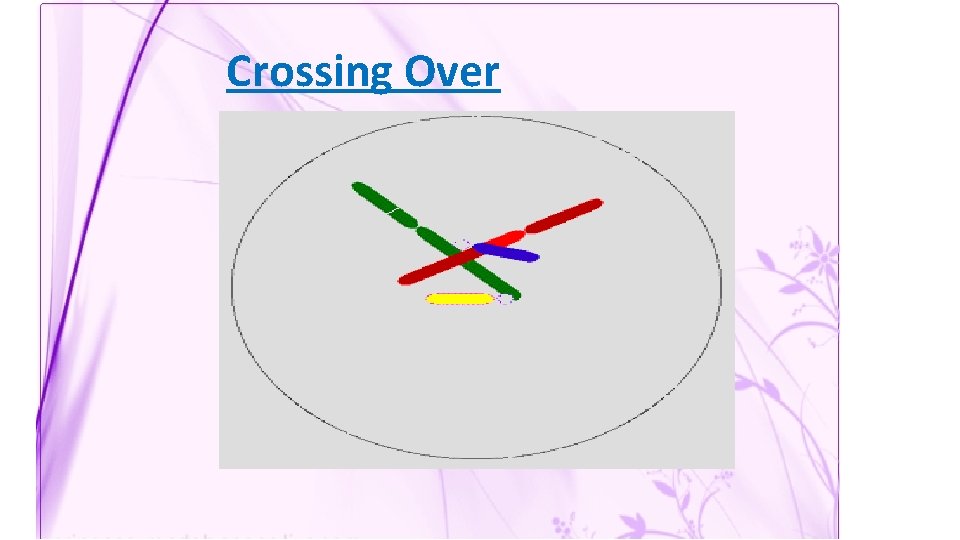 Crossing Over 