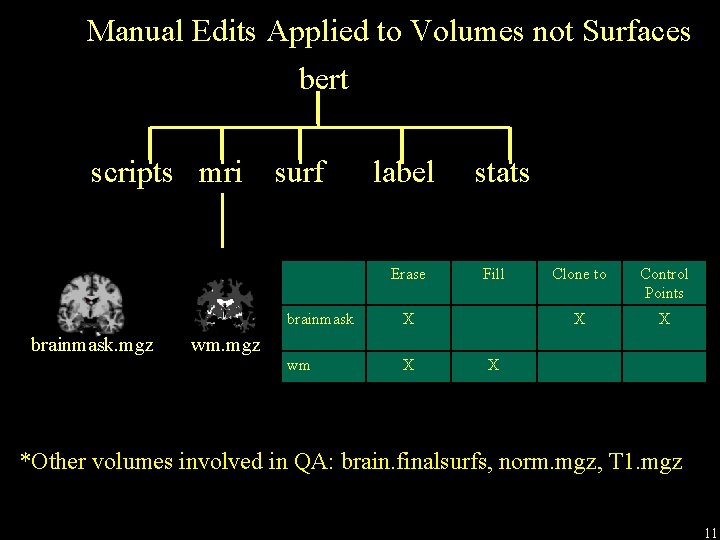 Manual Edits Applied to Volumes not Surfaces bert scripts mri surf label Erase brainmask.