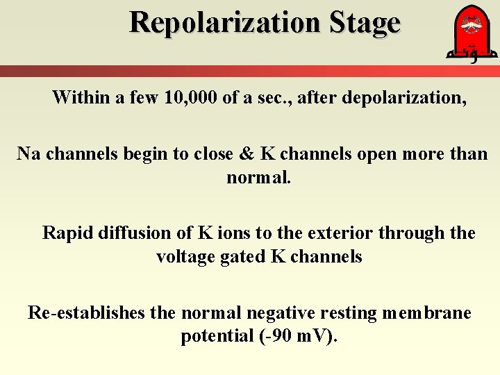 Repolarization Stage Within a few 10, 000 of a sec. , after depolarization, Na