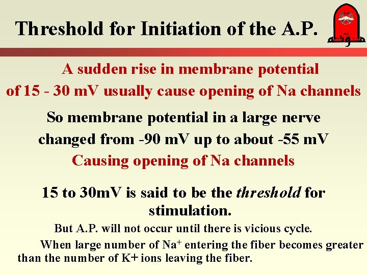 Threshold for Initiation of the A. P. A sudden rise in membrane potential of
