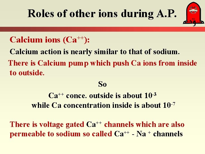 Roles of other ions during A. P. Calcium ions (Ca++): Calcium action is nearly