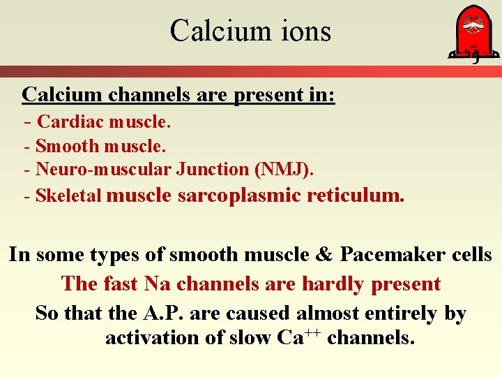Calcium ions Calcium channels are present in: - Cardiac muscle. - Smooth muscle. -