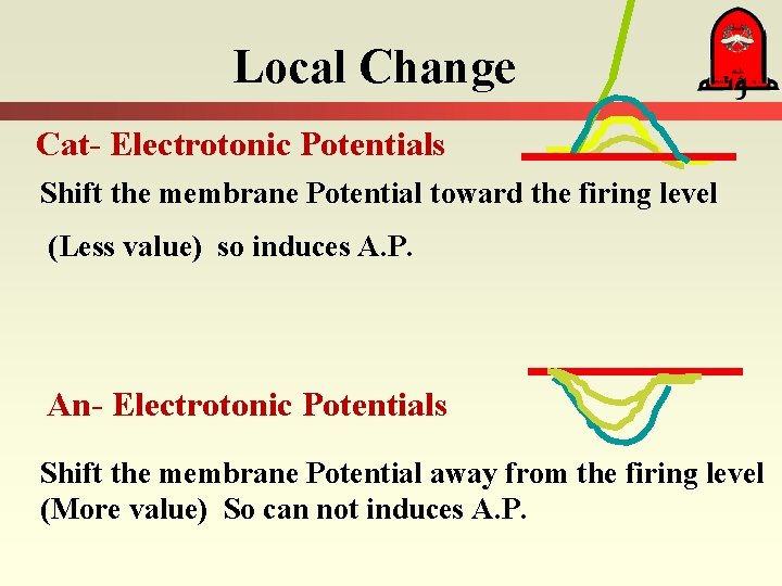Local Change Cat- Electrotonic Potentials Shift the membrane Potential toward the firing level (Less