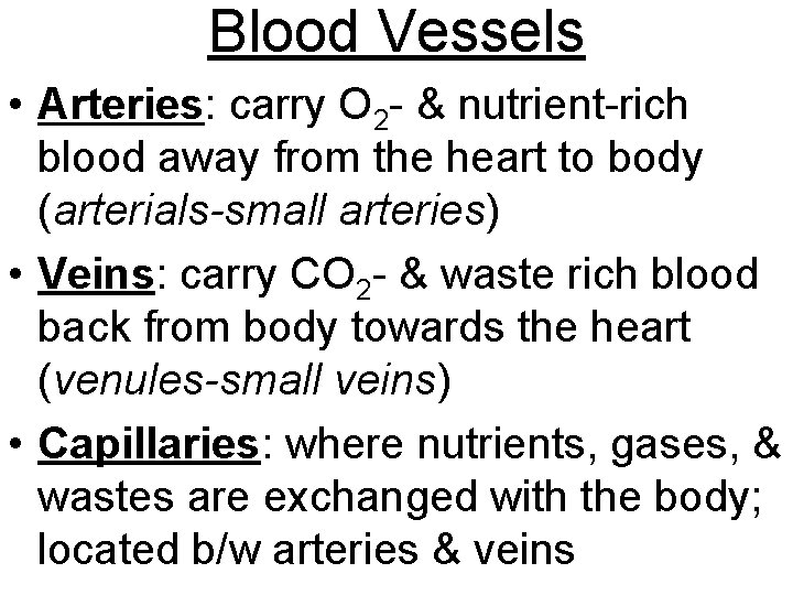 Blood Vessels • Arteries: carry O 2 - & nutrient-rich blood away from the