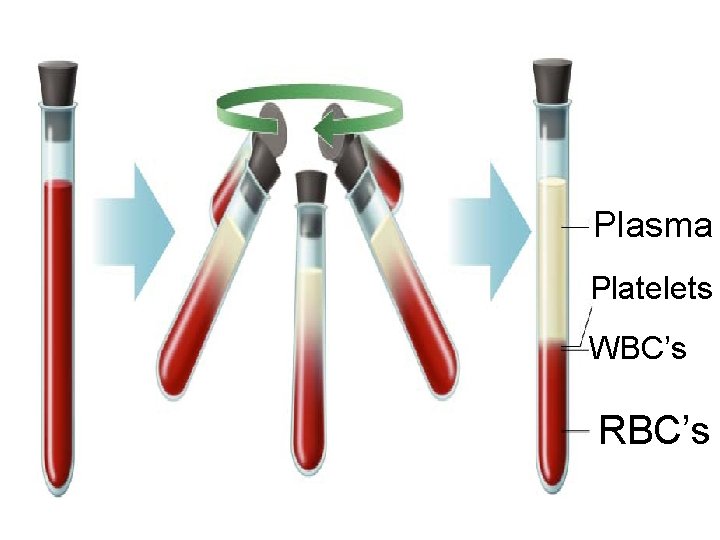 Section 37 -2 Plasma Platelets WBC’s RBC’s 