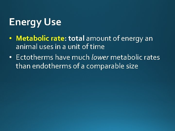 Energy Use • Metabolic rate: total amount of energy an animal uses in a