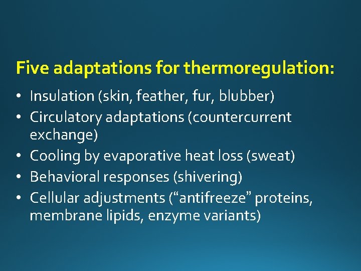 Five adaptations for thermoregulation: • Insulation (skin, feather, fur, blubber) • Circulatory adaptations (countercurrent