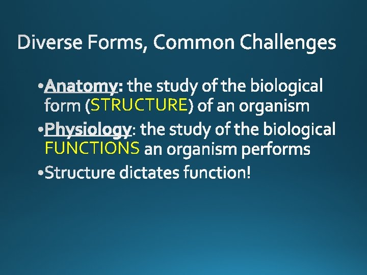 STRUCTURE FUNCTIONS 