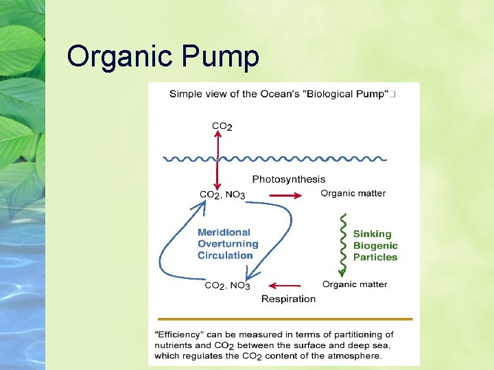 Organic Pump 