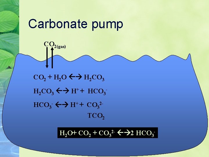 Carbonate pump CO 2(gas) CO 2 + H 2 O H 2 CO 3