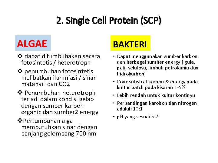 2. Single Cell Protein (SCP) ALGAE BAKTERI v dapat ditumbuhakan secara fotosintetis / heterotroph