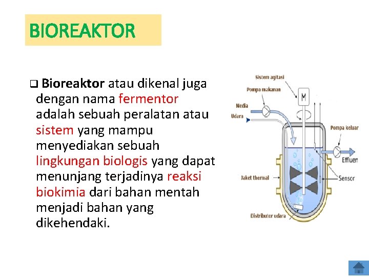 BIOREAKTOR q Bioreaktor atau dikenal juga dengan nama fermentor adalah sebuah peralatan atau sistem