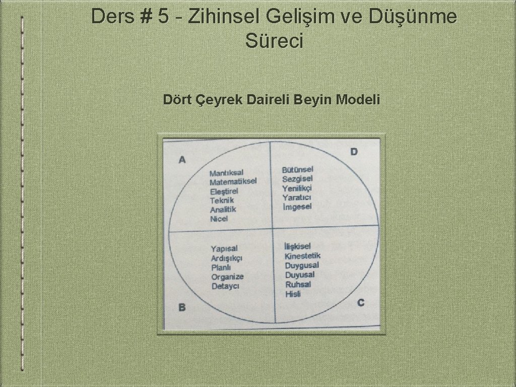 Ders # 5 - Zihinsel Gelişim ve Düşünme Süreci Dört Çeyrek Daireli Beyin Modeli