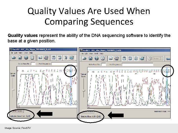 Quality Values Are Used When Comparing Sequences Quality values represent the ability of the