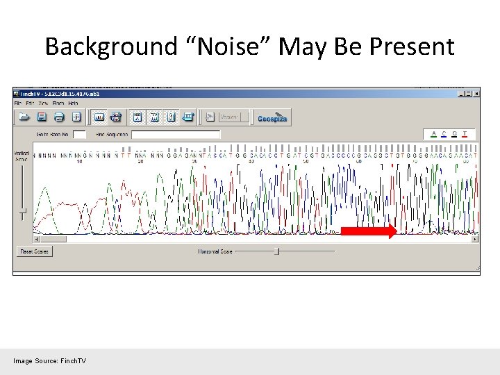 Background “Noise” May Be Present Image Source: Finch. TV 