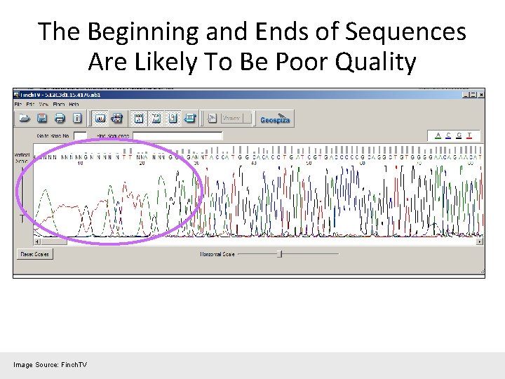 The Beginning and Ends of Sequences Are Likely To Be Poor Quality Image Source: