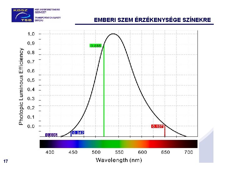 EMBERI SZEM ÉRZÉKENYSÉGE SZÍNEKRE 17 