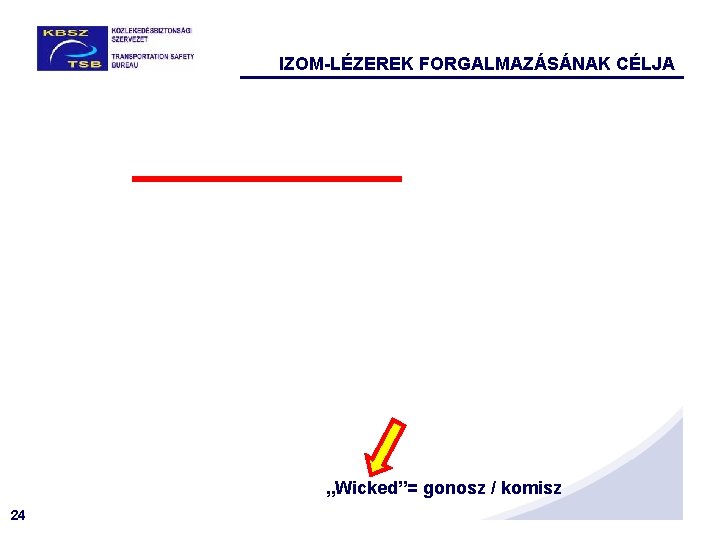 IZOM-LÉZEREK FORGALMAZÁSÁNAK CÉLJA „Wicked”= gonosz / komisz 24 