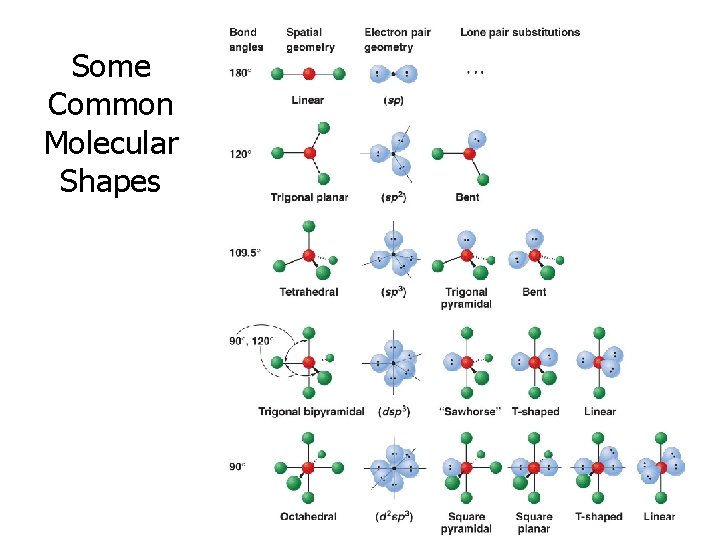 Some Common Molecular Shapes 