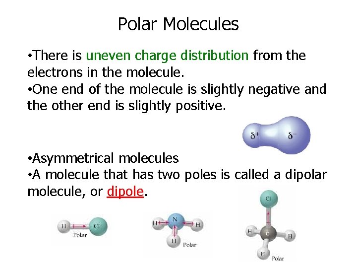 Polar Molecules • There is uneven charge distribution from the electrons in the molecule.