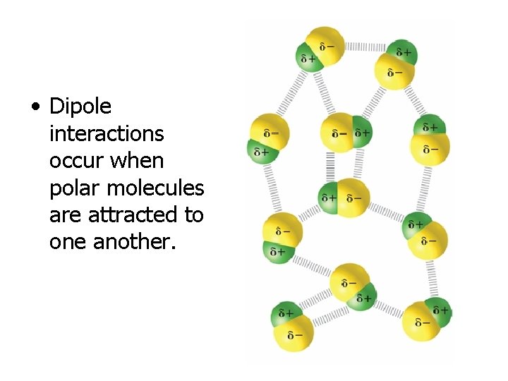  • Dipole interactions occur when polar molecules are attracted to one another. 