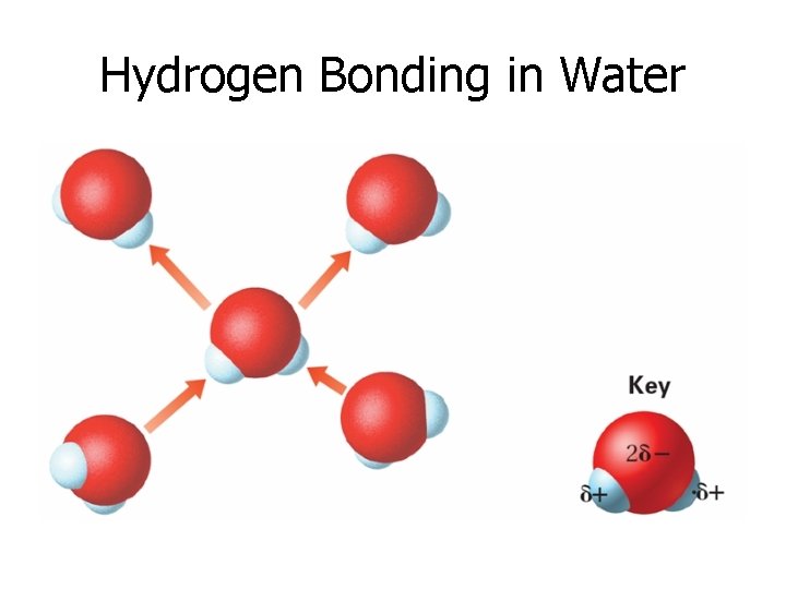 Hydrogen Bonding in Water 