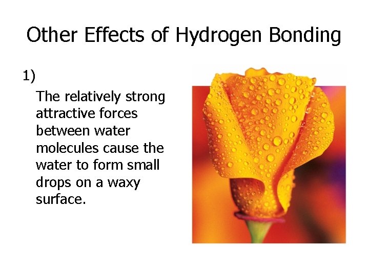 Other Effects of Hydrogen Bonding 1) The relatively strong attractive forces between water molecules