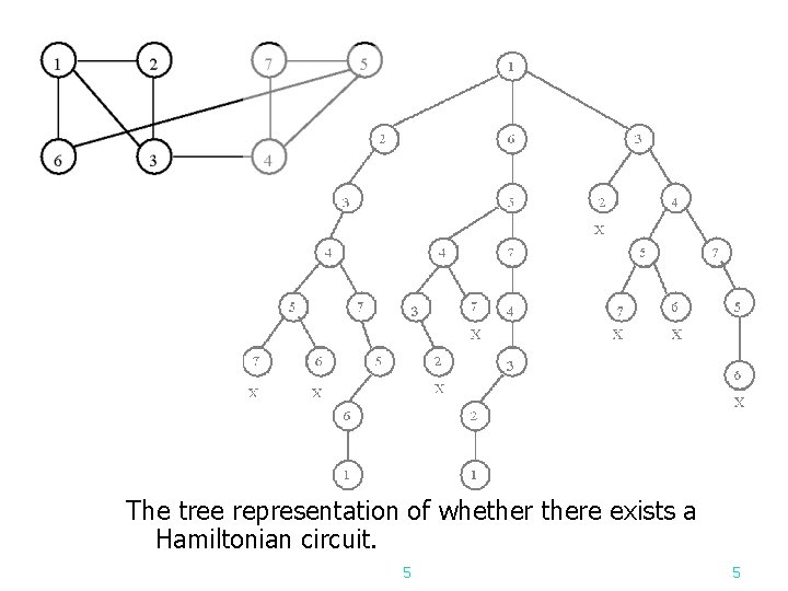 The tree representation of whethere exists a Hamiltonian circuit. 5 5 