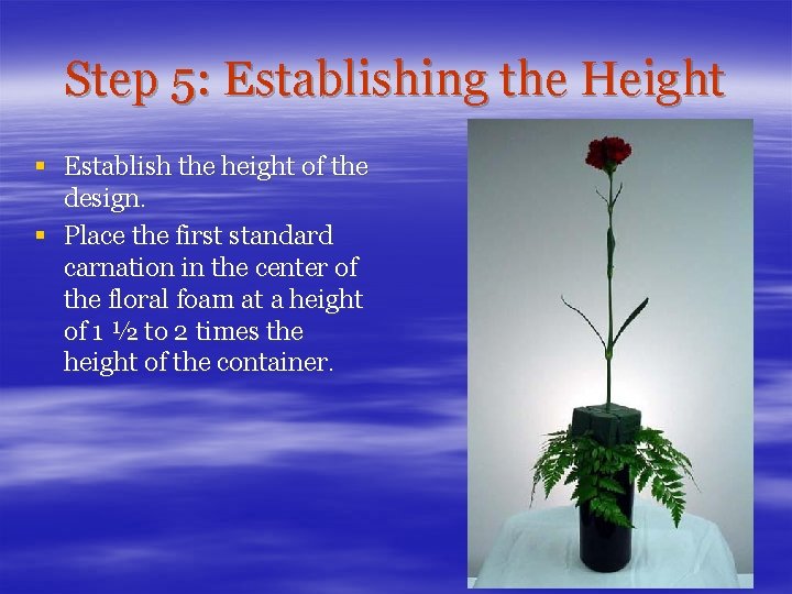 Step 5: Establishing the Height § Establish the height of the design. § Place