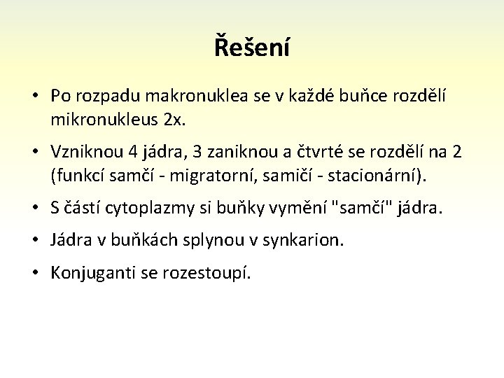 Řešení • Po rozpadu makronuklea se v každé buňce rozdělí mikronukleus 2 x. •