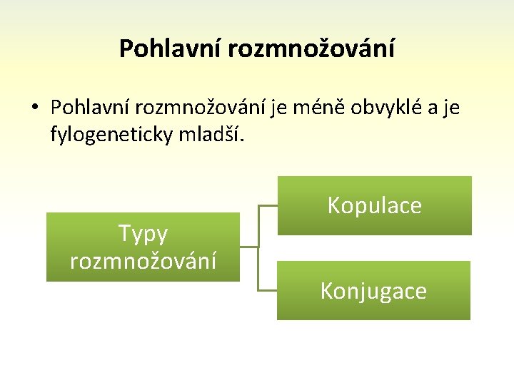 Pohlavní rozmnožování • Pohlavní rozmnožování je méně obvyklé a je fylogeneticky mladší. Typy rozmnožování