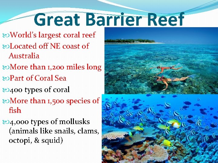 Great Barrier Reef World’s largest coral reef Located off NE coast of Australia More