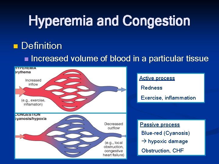 Hyperemia and Congestion n Definition n Increased volume of blood in a particular tissue