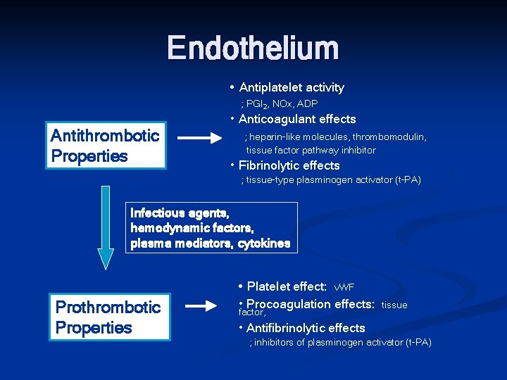 Endothelium • Antiplatelet activity ; PGI 2, NOx, ADP Antithrombotic Properties • Anticoagulant effects
