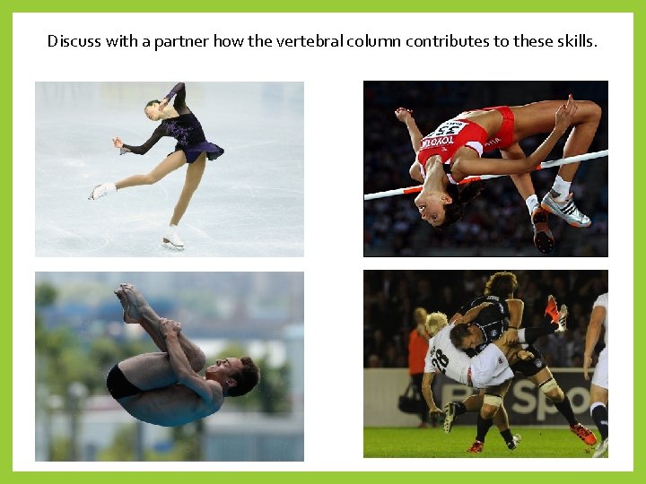 Discuss with a partner how the vertebral column contributes to these skills. 