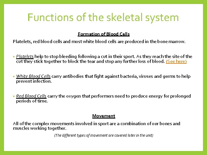Functions of the skeletal system Formation of Blood Cells Platelets, red blood cells and
