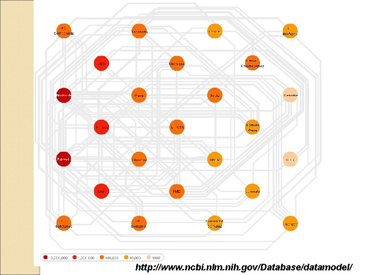 http: //www. ncbi. nlm. nih. gov/Database/datamodel/ 