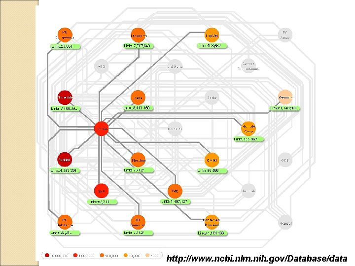 http: //www. ncbi. nlm. nih. gov/Database/data 