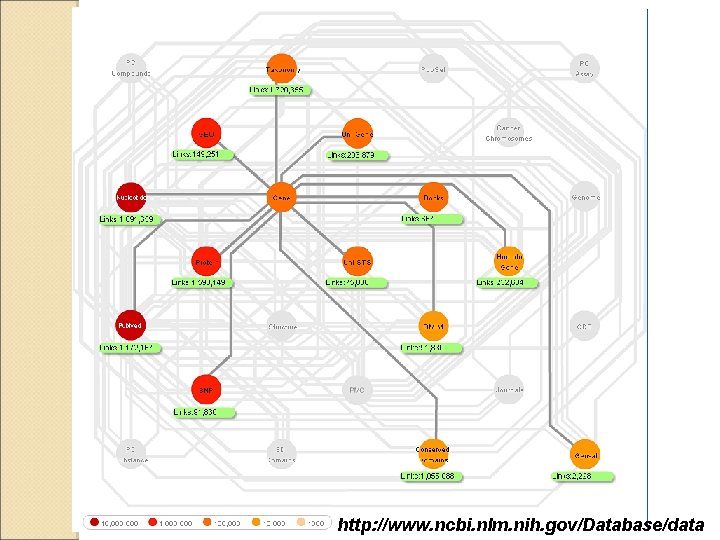 http: //www. ncbi. nlm. nih. gov/Database/data 