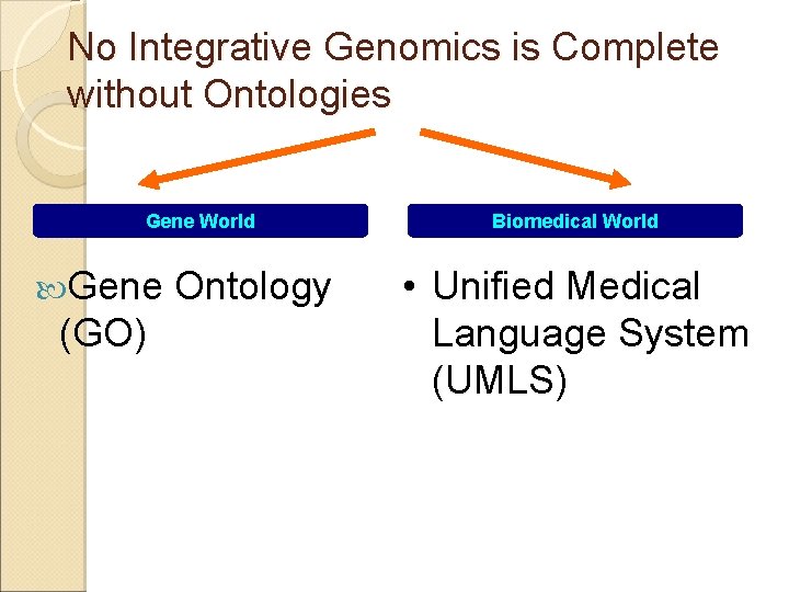 No Integrative Genomics is Complete without Ontologies Gene World Gene (GO) Ontology Biomedical World