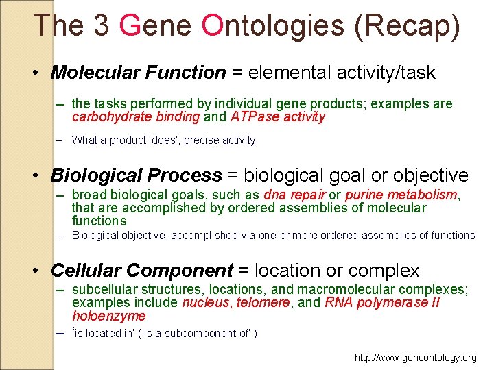 The 3 Gene Ontologies (Recap) • Molecular Function = elemental activity/task – the tasks