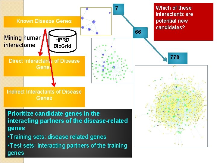 7 Known Disease Genes Mining human interactome 66 Which of these interactants are potential