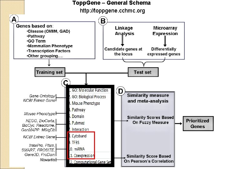 Topp. Gene – General Schema http: //toppgene. cchmc. org 