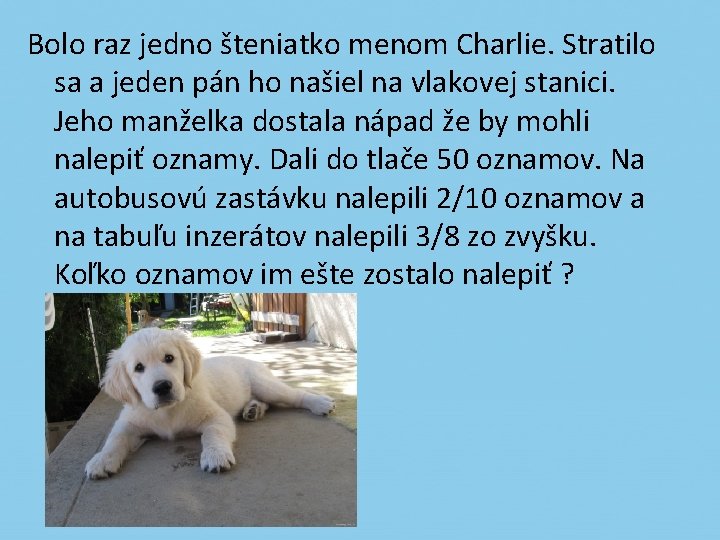 Bolo raz jedno šteniatko menom Charlie. Stratilo sa a jeden pán ho našiel na
