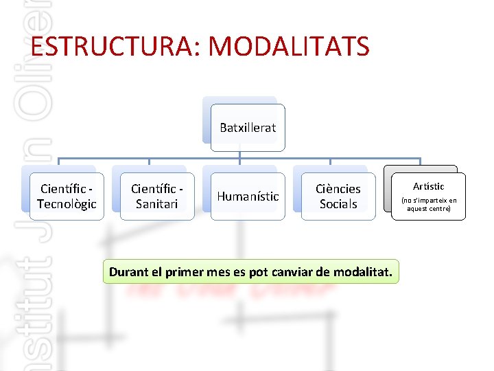 ESTRUCTURA: MODALITATS Batxillerat Científic Tecnològic Científic Sanitari Humanístic Ciències Socials Durant el primer mes