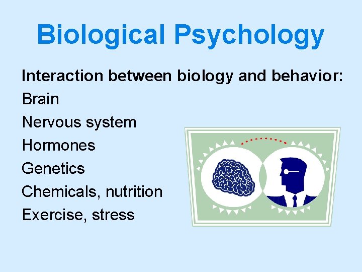 Biological Psychology Interaction between biology and behavior: Brain Nervous system Hormones Genetics Chemicals, nutrition