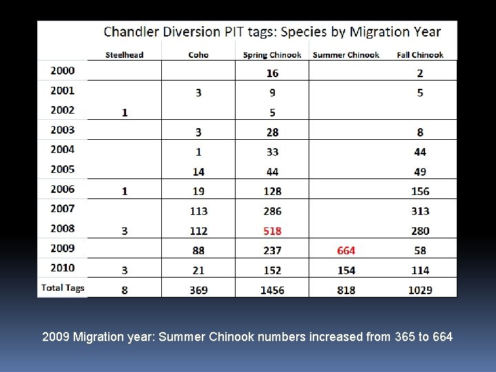2009 Migration year: Summer Chinook numbers increased from 365 to 664 